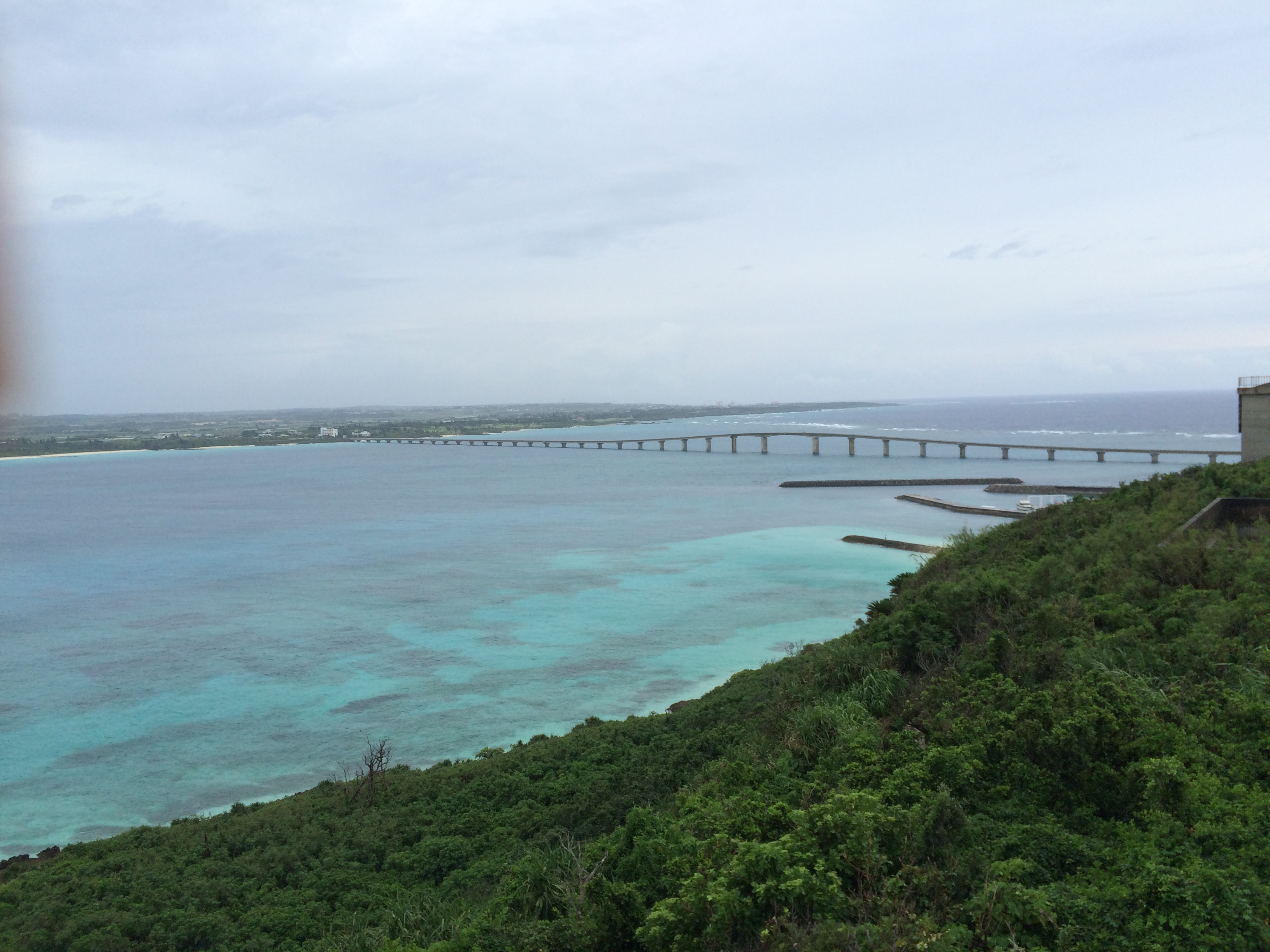 宮古島で社員旅行中 メガソーラー 太陽光発電も見てきました 太陽光発電の株式会社ジオリゾーム